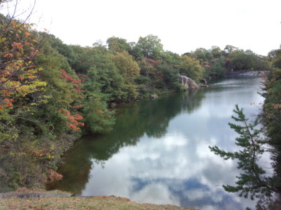 IMG_20131111_115715120